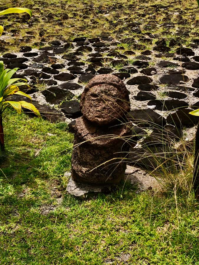 Must-Do : Nature, Culture & Moments Uniques – MirimirI Tours - The Faaroa Belvedere and its broad island view
