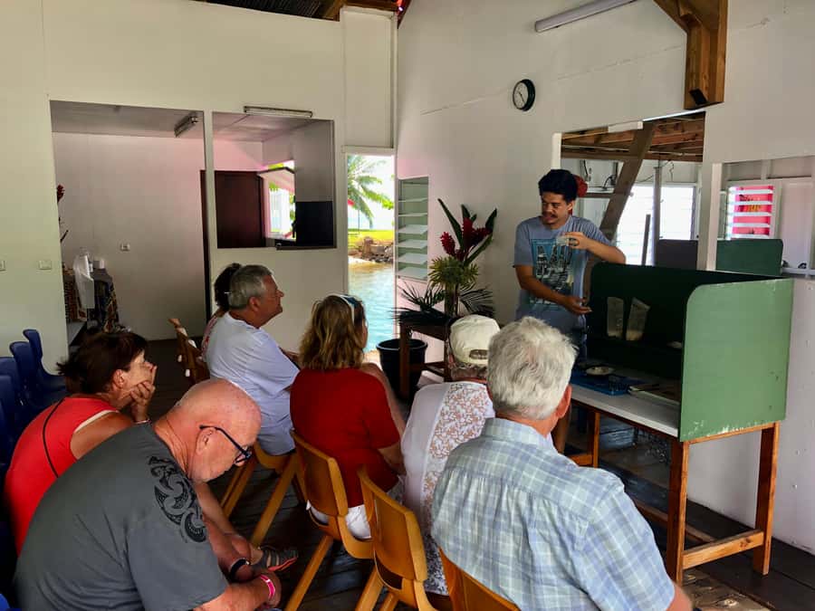 Must-Do : Nature, Culture & Moments Uniques – MirimirI Tours - What the transport and group size mean