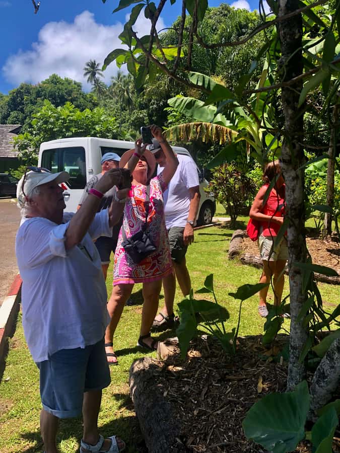 Must-Do : Nature, Culture & Moments Uniques – MirimirI Tours - What the $198 price buys you