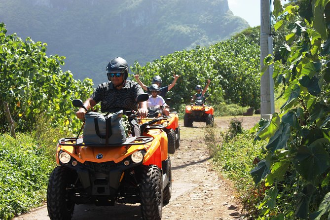 NEW!!! ATV TOURS with a local tour guide from Bora Bora - Crossing Vaitape and reaching Amanahune