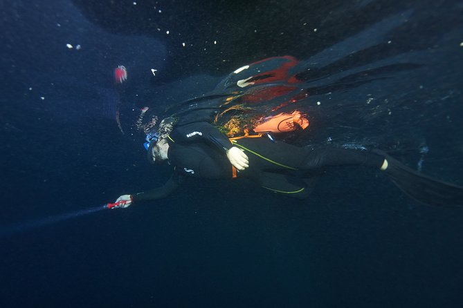 Night Snorkeling - Practical details that can change your evening