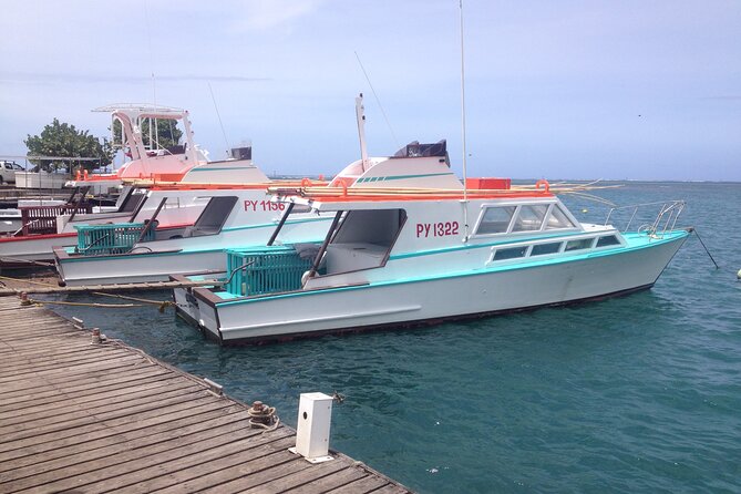 Papeete and Tahiti Historical and Cultural Tour - Why this short Tahiti tour works