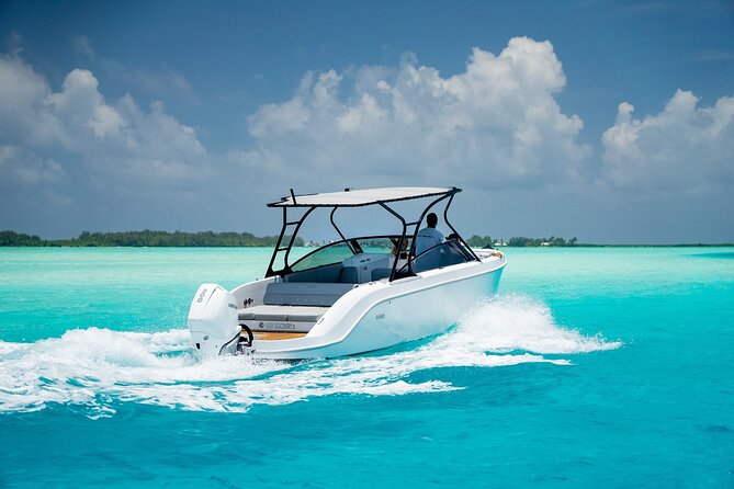 Private 4 Hours Reef Discovery Luxury Private Treasure Hunt in Bora Bora - Manta rays and the first sense of wonder