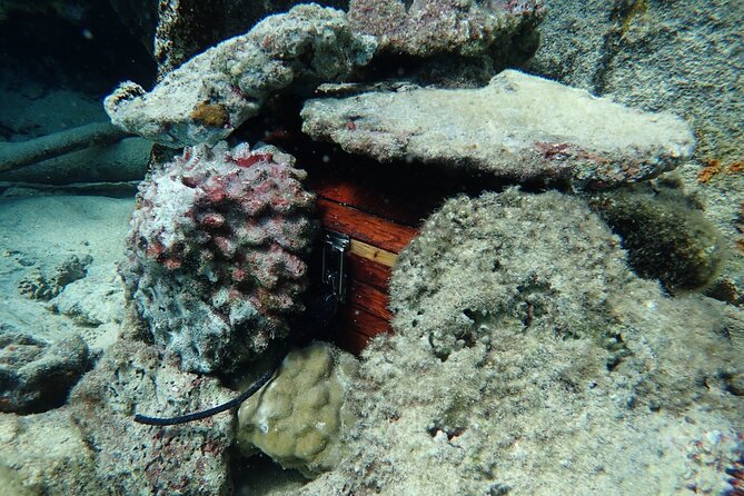 Private 4 Hours Reef Discovery Luxury Private Treasure Hunt in Bora Bora - Following clues through three or four stops