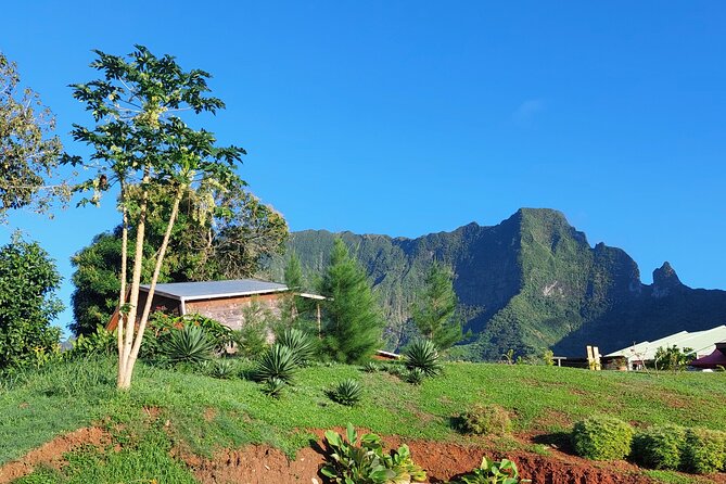 Private and guided visit to Mystery House Raiatea - Key points at a glance