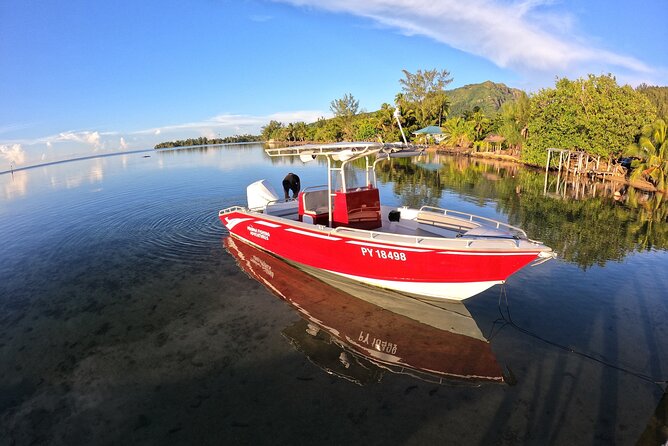 Private Big Game Fishing Day - Four to five hours looking for big fish