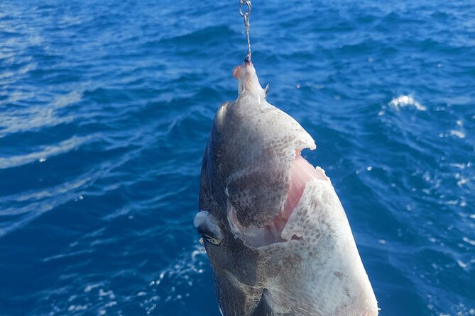 Private Big Game Fishing Tour in Raiatea - What the price includes in practical terms