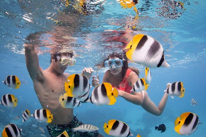Private Boat Rental on Cap Camarat 17ft - A private start on Bora Bora’s lagoon