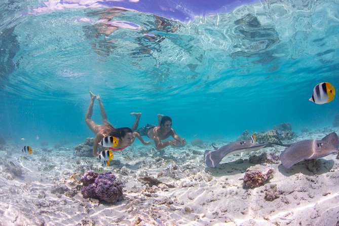 Private Boat Rental on Cap Camarat 25ft - Coral Gardens and Bora Bora’s sea life