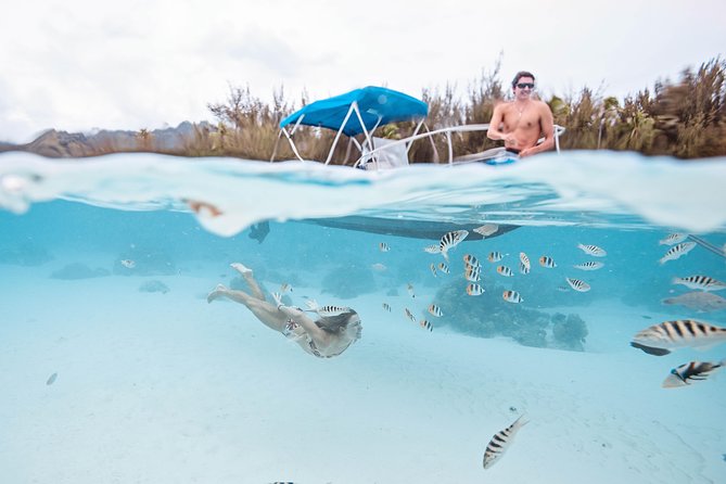 Private Boat Tour of Moorea Lagoon - GoPro photos above and below the surface
