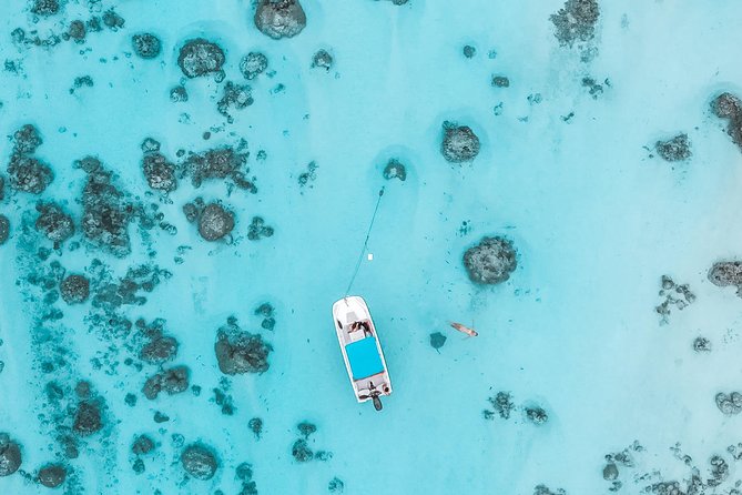 Private Boat Tour of Moorea Lagoon - Timing, weather, and physical demands