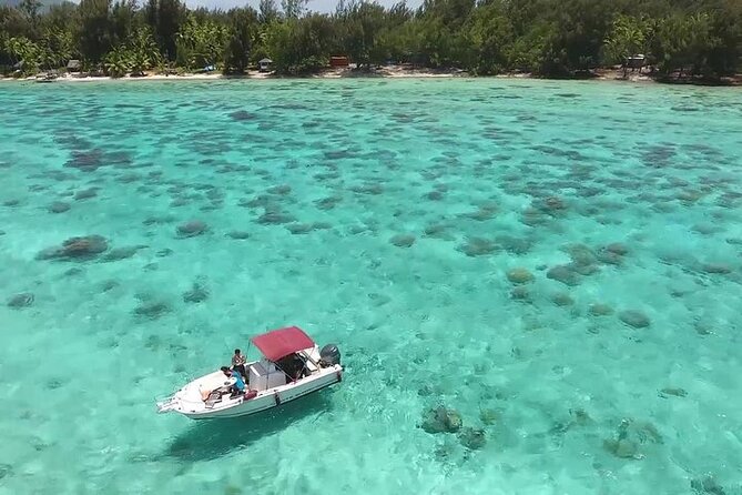 Private Bora Bora Lagoon Experience - Setting the plan with your Tahitian captain