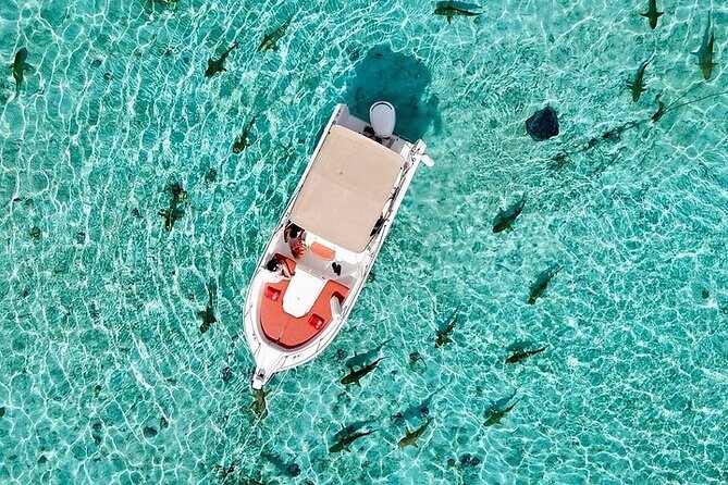 Private Bora Bora Lagoon Experience - Boat time, pickup, and what to bring