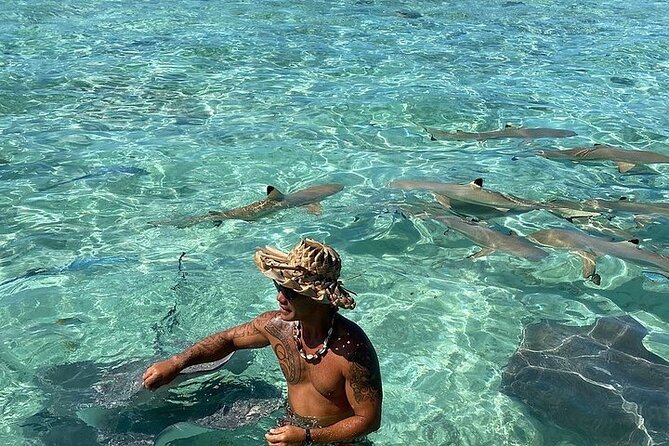 Private Bora Bora Lagoon Experience - Is $320.66 Per Person Good Value?