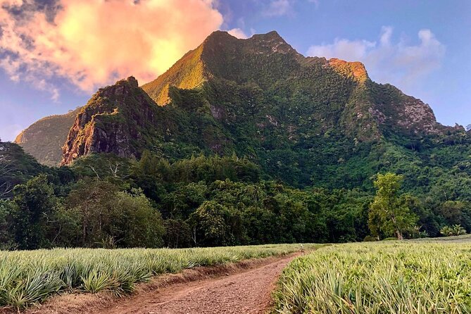 Private Day Trip Hike and Boat in Moorea - One day, two sides of Moorea