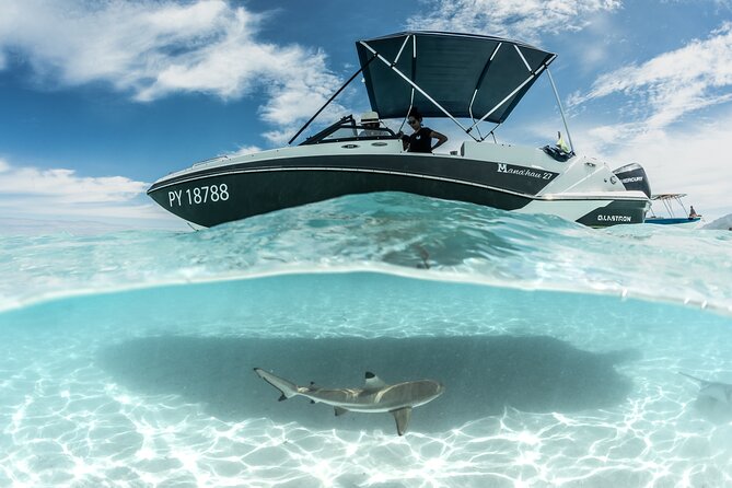 Private Day Trip Hike and Boat in Moorea - Cook and Opunohu bays from the water