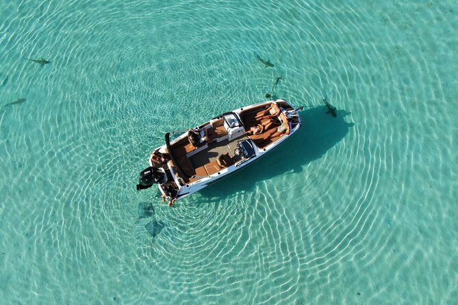 Private Day Trip Hike and Boat in Moorea - Why the private format affects the value
