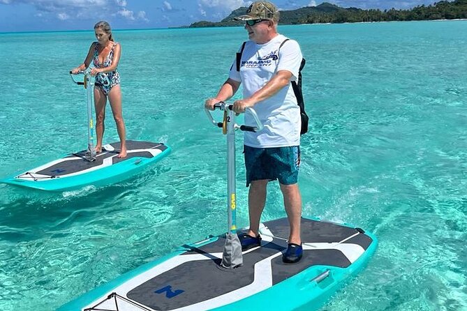 Private Electric Paddle Cruise in Bora Bora - Looking for fish, stingrays, and sharks