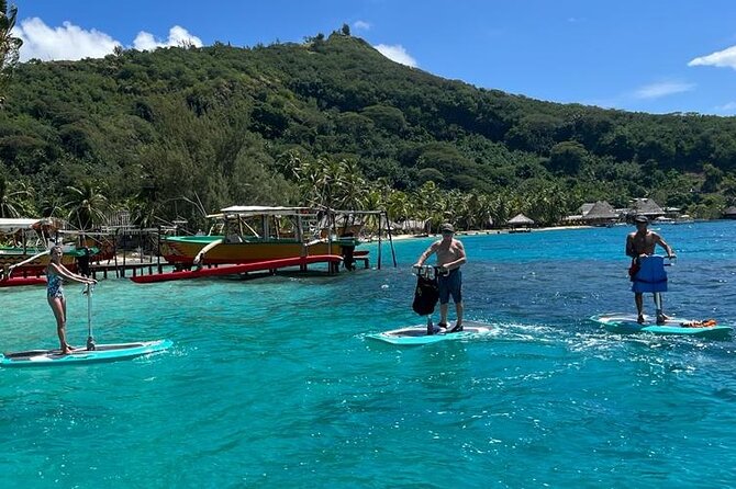Private Electric Paddle Cruise in Bora Bora - Who will enjoy this most