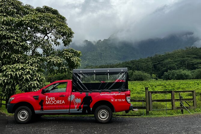 Private excursion to Moorea, photo tour & immersive discovery - Opunohu Bay, where the mountains meet the water