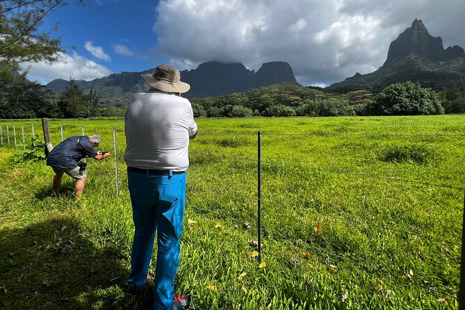 Private excursion to Moorea, photo tour & immersive discovery - Ta’ahiamanu Beach adds a lower, open view