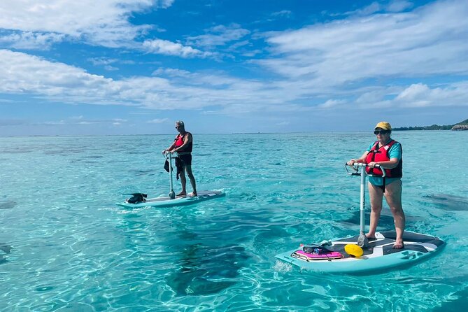 Private Excursion with E-Board in Moorea with snorkeling - Why an E-Board is a good way to see Moorea’s lagoon