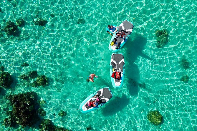 Private Excursion with E-Board in Moorea with snorkeling - The coral-garden snorkeling stop
