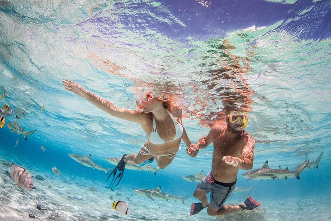 Private Full Day Aquatic Photo Tour + Resort Photo-Shoot (All inclusive) - Two or more selected photo stops instead of a full island circuit