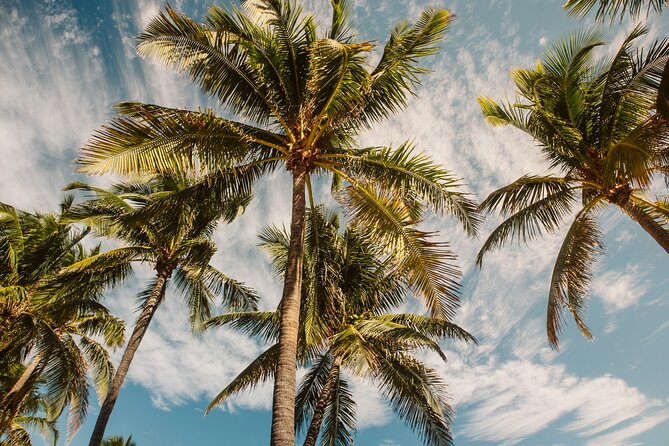 Private Full-Day Lagoon Adventure in Bora Bora with BBQ Lunch - What the guides add to the day