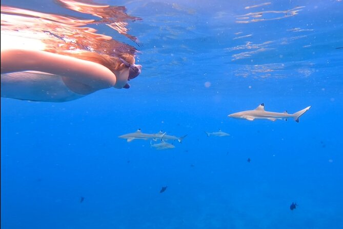 Private Full Day Lagoon Safari and Lunch on a Motu in Bora Bora - A motu lunch with a local feel