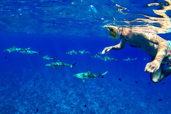 PRIVATE FULL DAY LAGOON TOUR - Bora Bora Cultural Lagoon Tour - Why this six-hour lagoon trip feels different