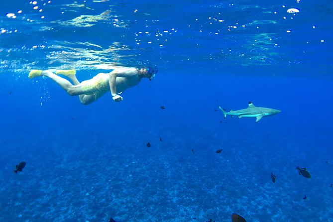 PRIVATE FULL DAY LAGOON TOUR - Bora Bora Cultural Lagoon Tour - Coral gardens, stingrays, and shallow-water viewing