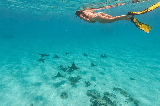 PRIVATE FULL DAY LAGOON TOUR - Bora Bora Cultural Lagoon Tour - What the private price really buys you