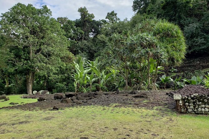 Private Full-Day Tahiti — Grotto, Gardens & Panoramas - Why this private Tahiti tour works so well on a short stay