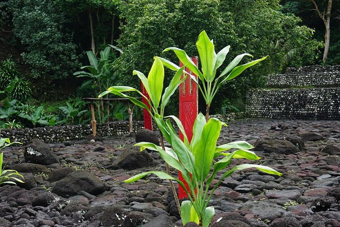 Private Full-Day Tahiti — Grotto, Gardens & Panoramas - Papeari lunch and a taste of local life