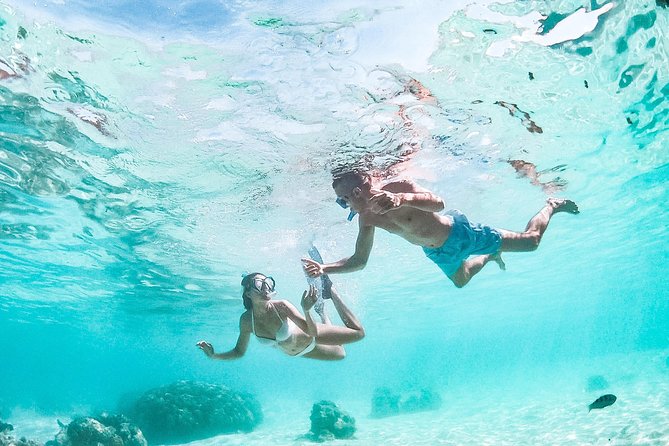 PRIVATE Full Day Tour : Moorea Snorkeling & Sailing on a Catamaran named Taboo - A quiet beach and your own picnic