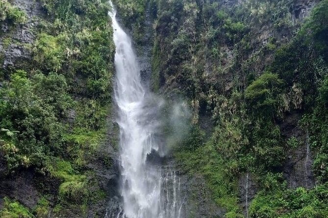 Private Full Day Tour of Tahiti - Vaipahi Gardens and a world of plants