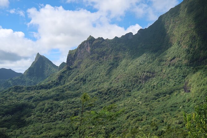 Private Half-Day Hike in the Opunohu Valley in Moorea - Climbing toward the Col des 3 Cocotiers and 3 Pinus