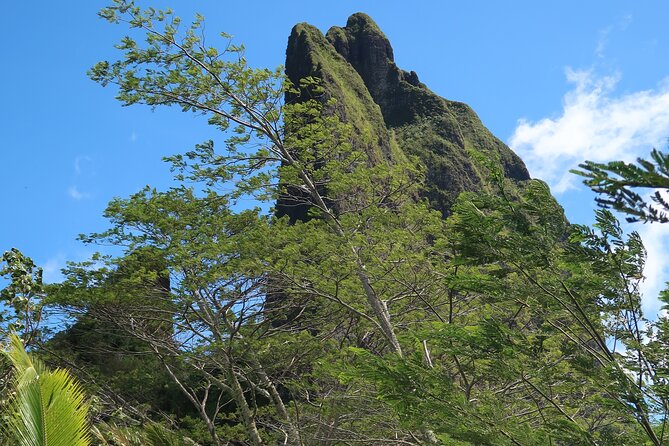 Private Half-Day Hike in the Opunohu Valley in Moorea - Native plants, introduced species, and island knowledge