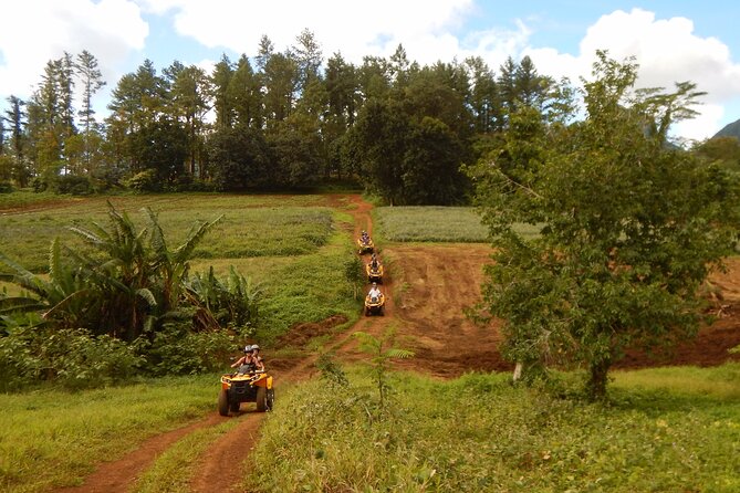 Private Half-Day Hike in the Opunohu Valley in Moorea - Archaeological trails add depth to the walk