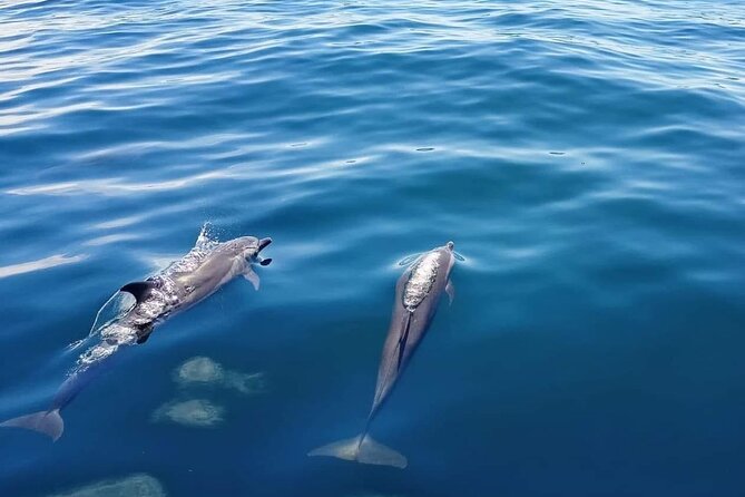 Private Half Day Sailing Excursion on the Lagoon of Tahiti - Second stop: shallow water, fruit, and a local drink