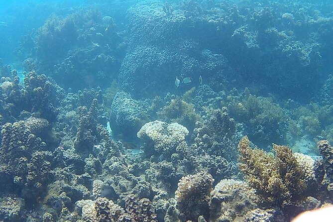 Private Half Day Sailing Excursion on the Lagoon of Tahiti - Who will enjoy this Tahiti lagoon outing