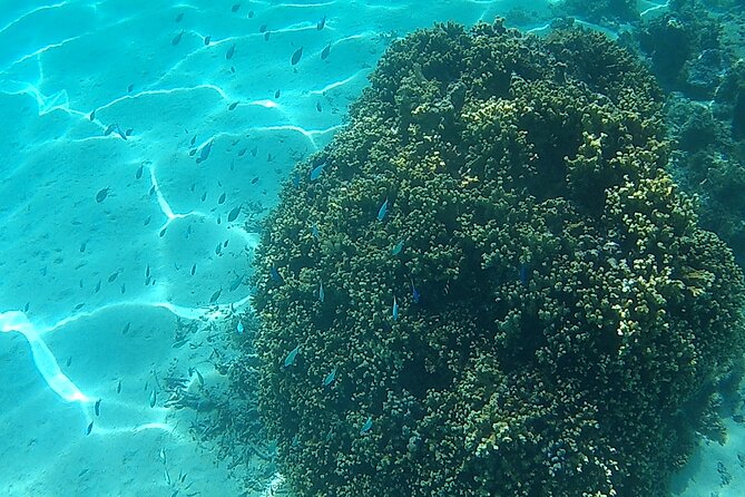 Private Half Day Sailing Excursion on the Lagoon of Tahiti - What to pack for a comfortable afternoon