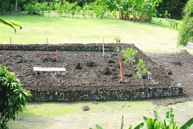 Private Island Tour ( 5 HOURS) - Why this tour makes sense on a short Tahiti visit