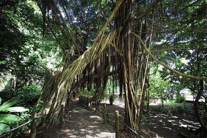 Private Island Tour ( 5 HOURS) - Faarumai Waterfalls add the day’s best short walk