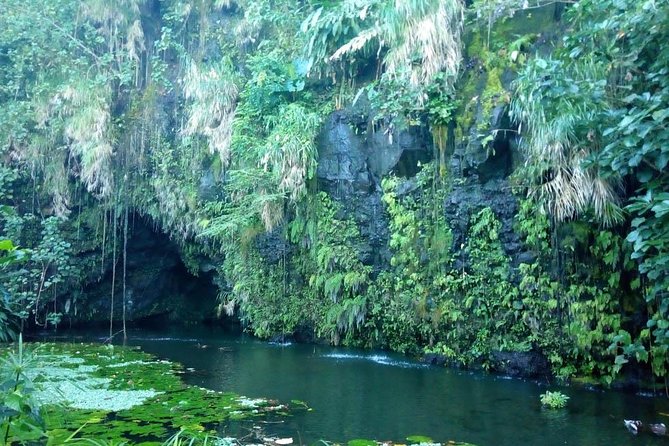 Private Island Tour ( 5 HOURS) - Vaipahi Gardens slow the pace beside the south coast