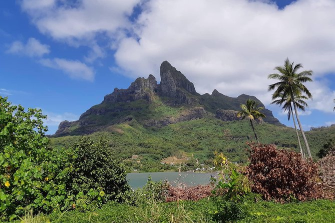 Private Island Tour by ATV / QUAD - Why a quad is a smart way to see Bora Bora
