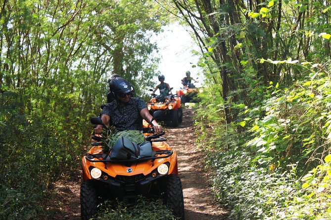 Private Island Tour by ATV / QUAD - Fruit, juice, and a welcome pause