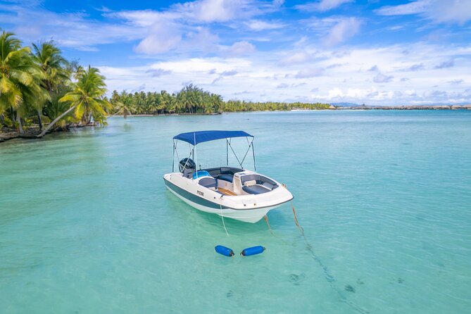 Private Jetboard Lessons with Instructor in Bora Bora - Is $390.79 good value for one hour?