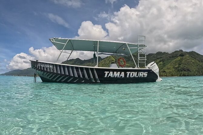 Private Lagoon Exploration and Snorkeling in Moorea - What the guide style adds